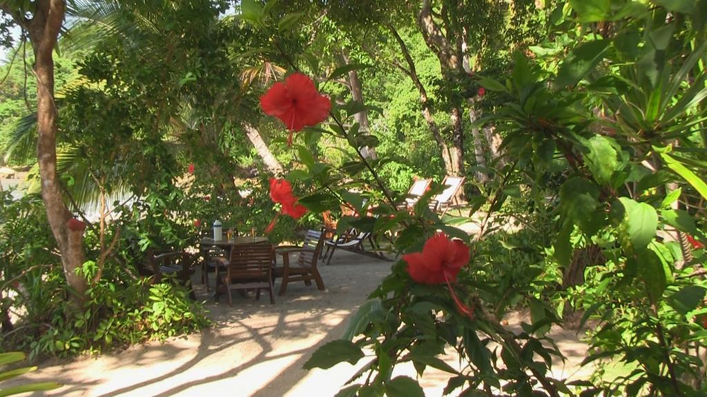 Pousada Tassimirim Velha Boipeba Εξωτερικό φωτογραφία